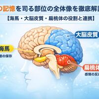 画像270