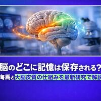 画像280