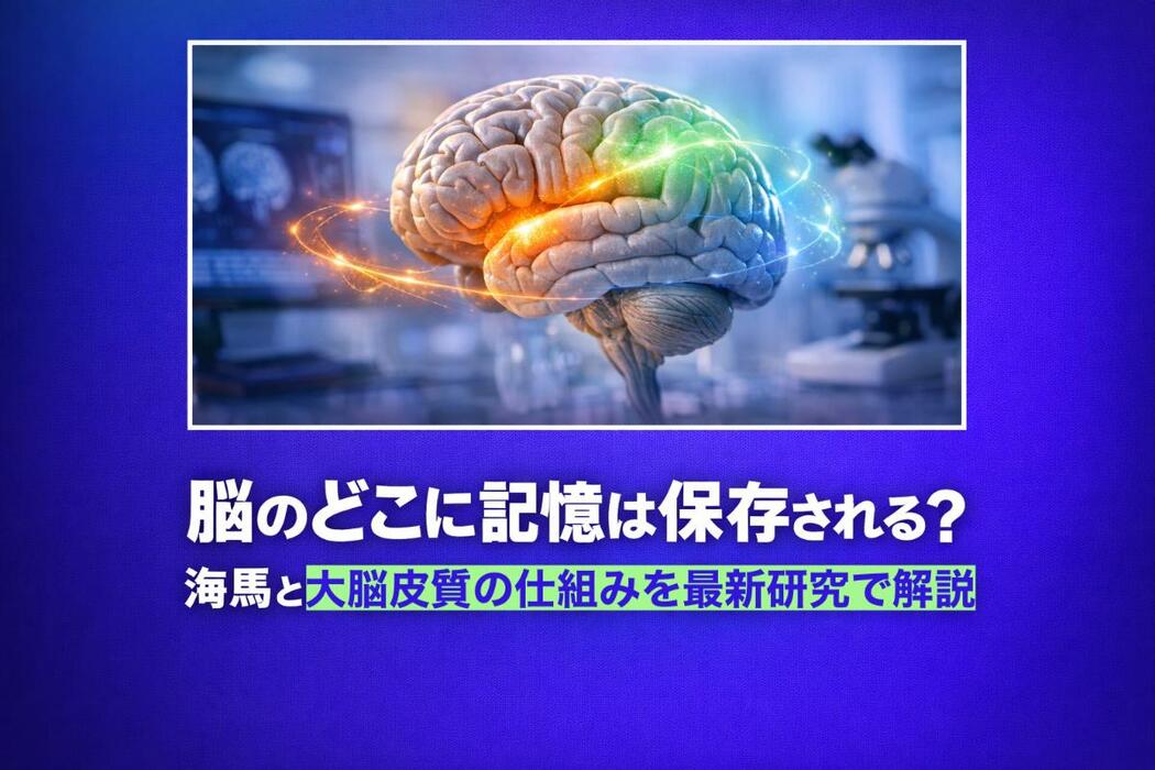 画像280