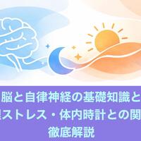 画像284