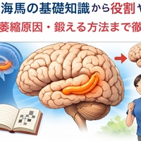 画像293