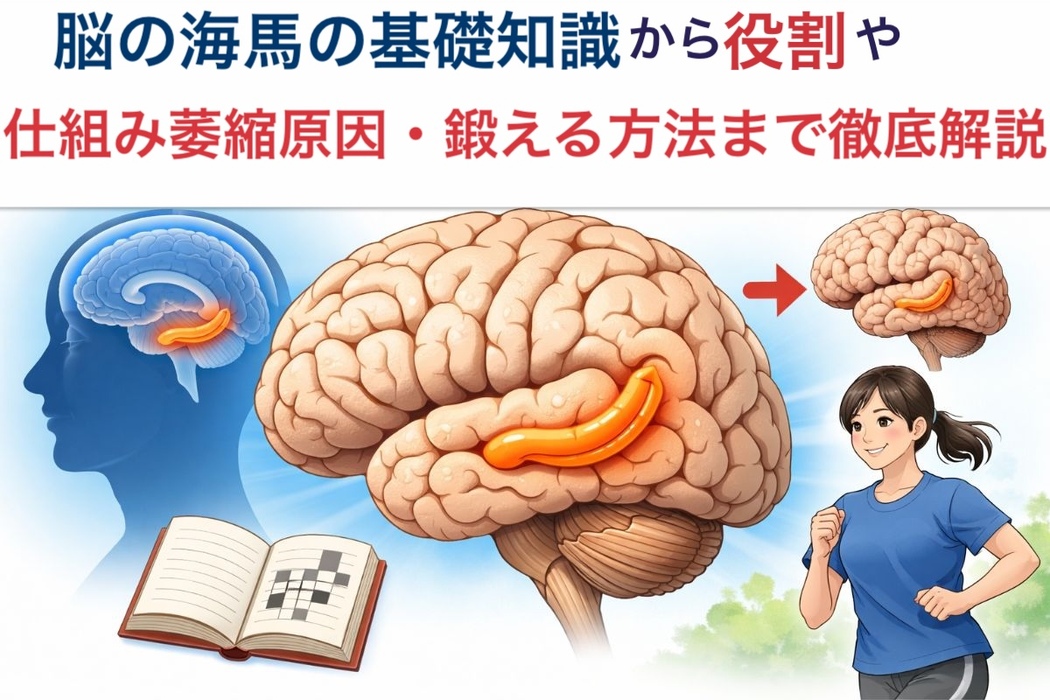 画像293