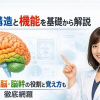 画像303