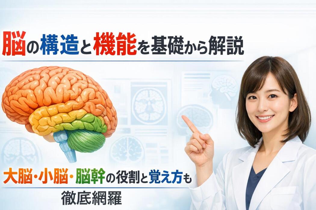 画像303