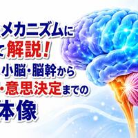 画像311