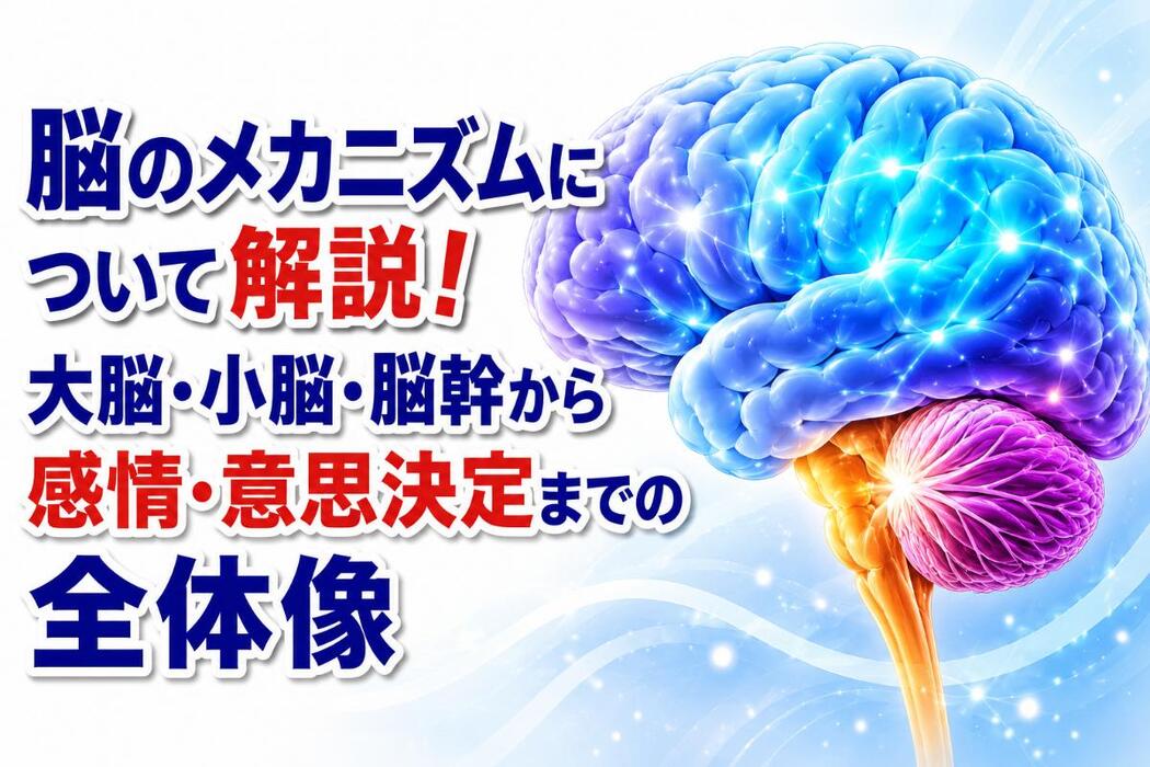 画像311