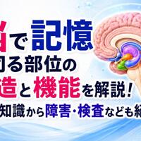 画像315