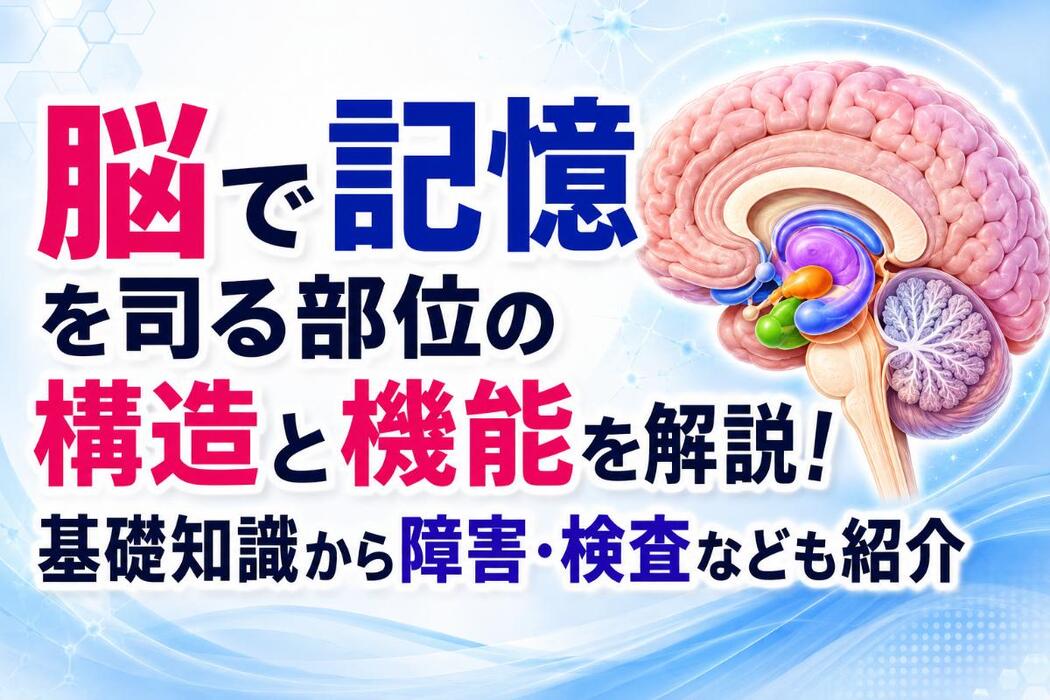 画像315