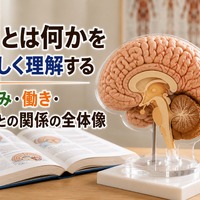 画像519