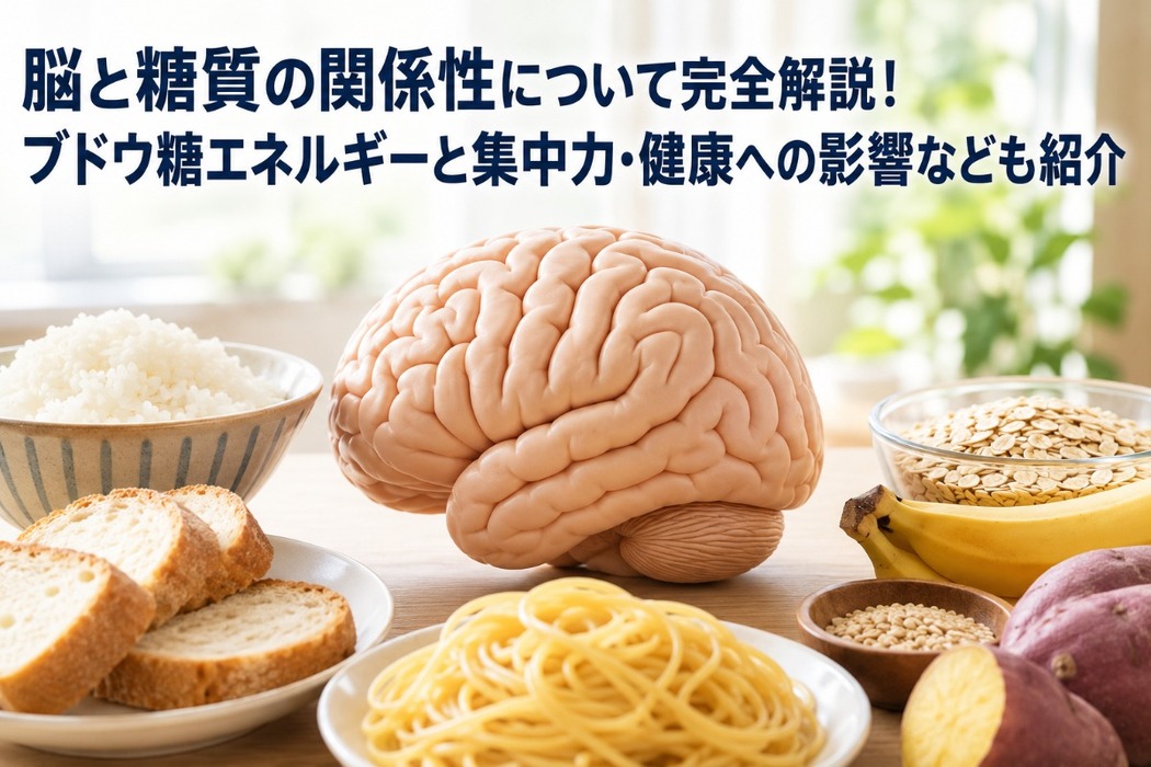 画像531