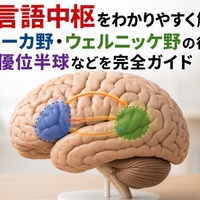 画像541
