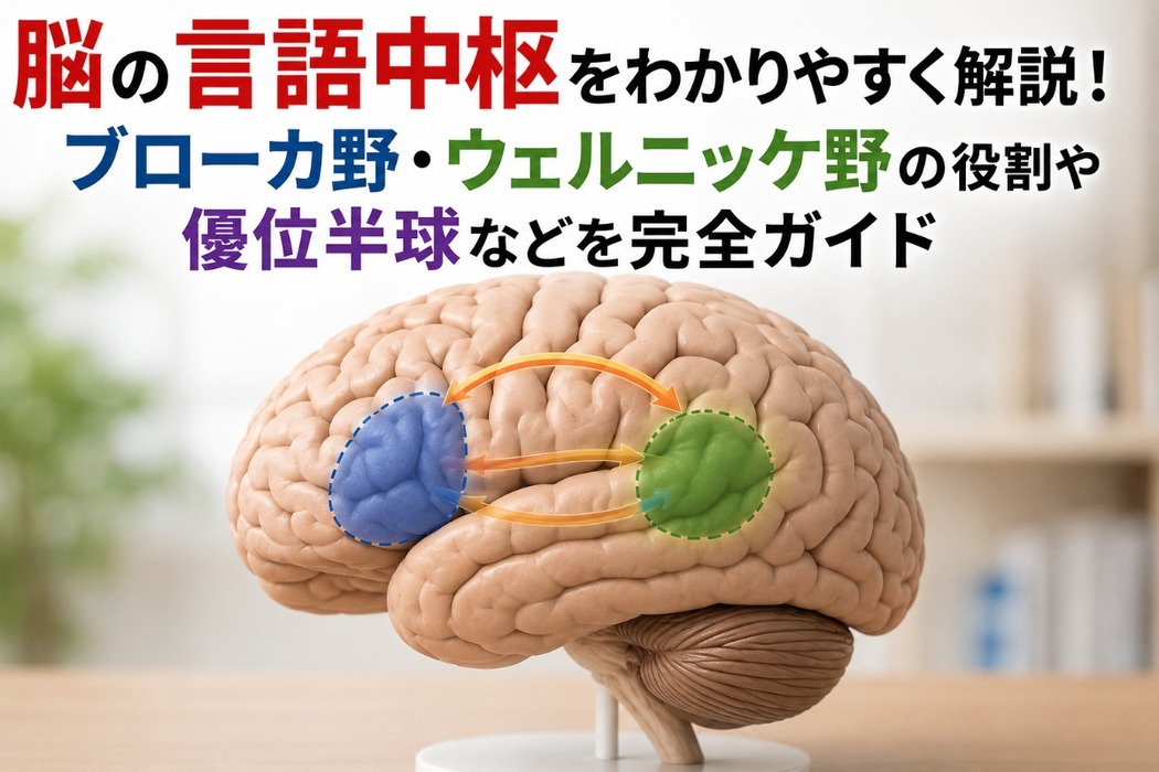 画像541