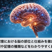 画像589